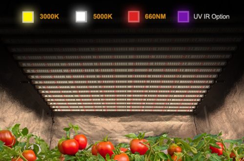 1000w led grow light