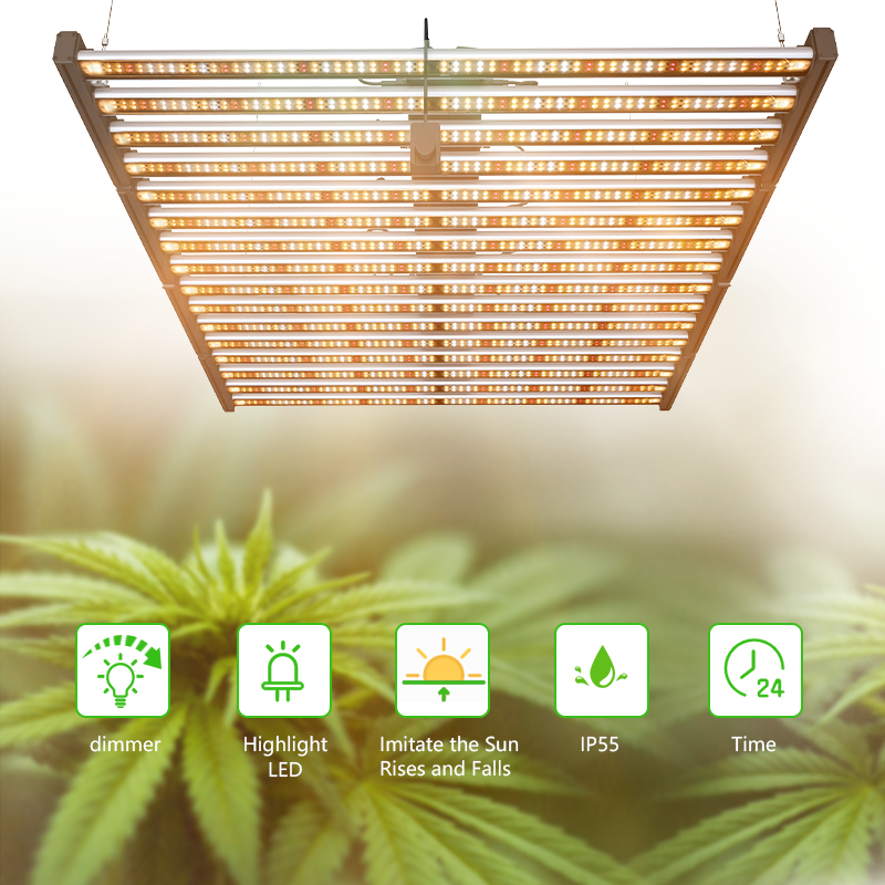 1000W LED Grow Light application