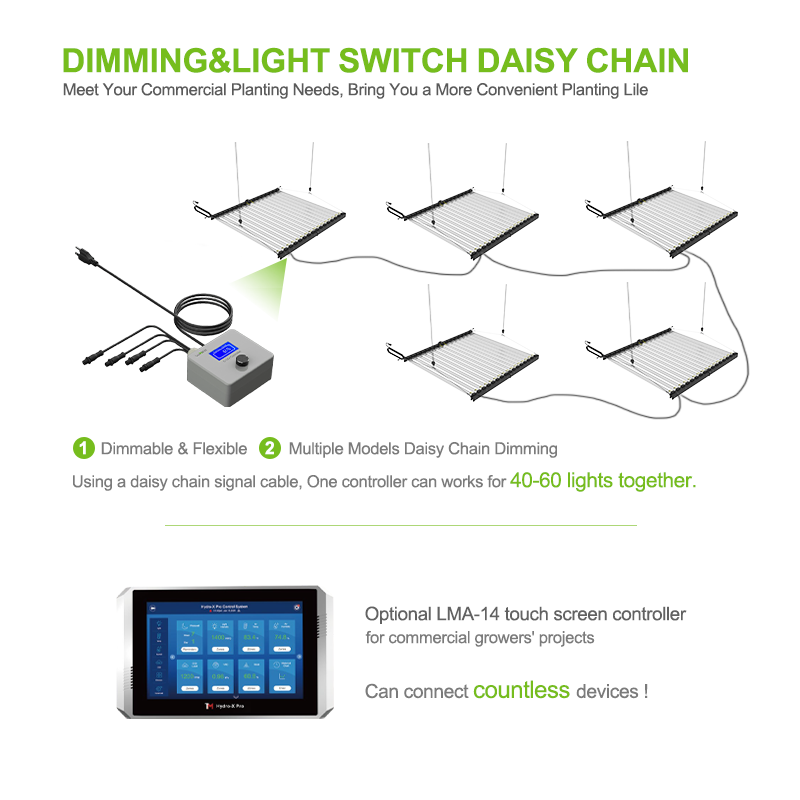 grow lights for seedlings